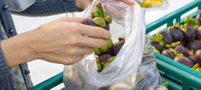 Dal 1° gennaio 2018 entra in vigore la tassa sulla spesa per i sacchetti bio monouso